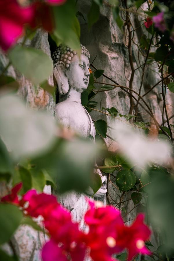 Zen Garden Tamarindo - Adults Only 호텔 외부 사진